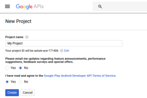 google-api-console-project-name-details-codexworld