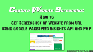 capture-screenshot-website-url-using-google-page-speed-insights-api-php-codexworld