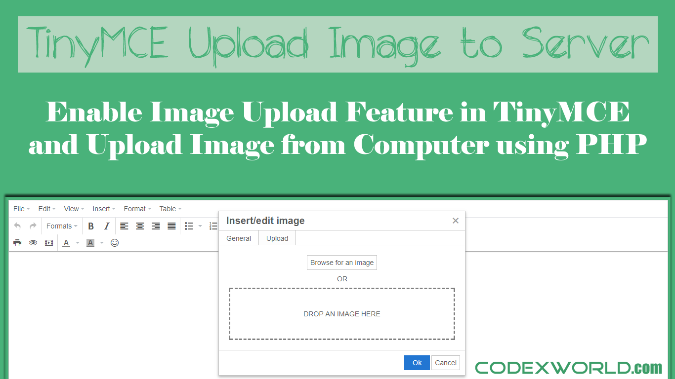 how-to-upload-image-in-tinymce-editor-using-php-codexworld