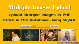 upload-multiple-images-store-in-database-php-mysql-codexworld