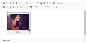 Ckeditor-insert-image-with-caption-codexworld - CodexWorld