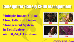 Multiple Image Upload With View, Edit And Delete In CodeIgniter ...